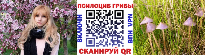 Псилоцибиновые грибы GOLDEN TEACHER  Аргун 