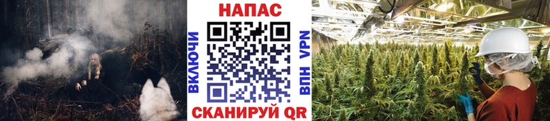 Конопля MAZAR Аргун